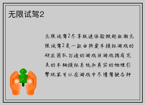 无限试驾2
